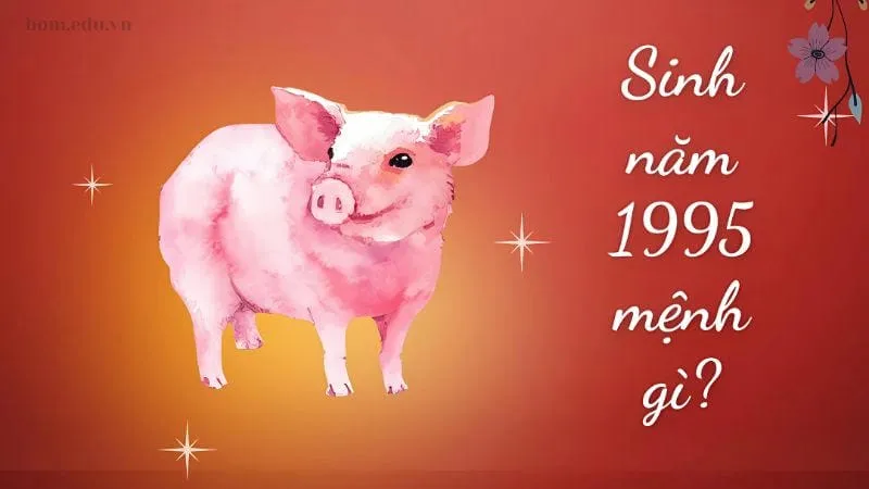 1995 mệnh gì, tuổi gì, hợp màu sắc phong thủy nào?