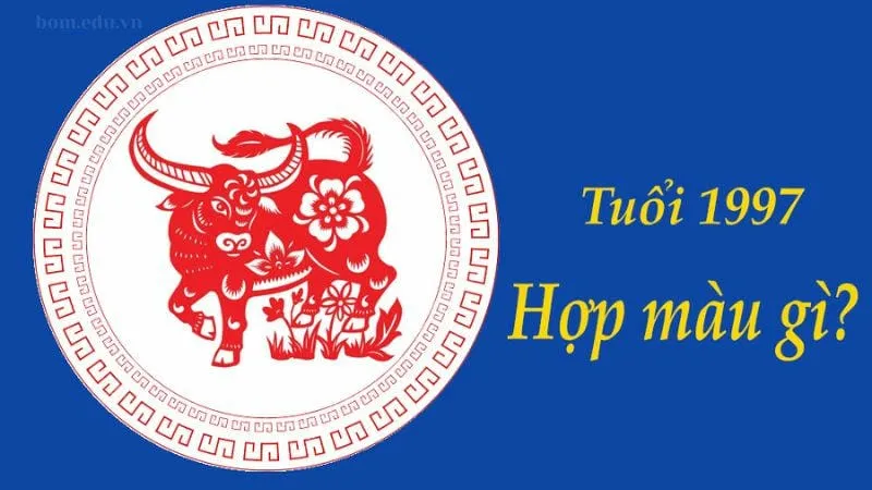 Tuổi đinh sửu 1997 hợp màu gì?