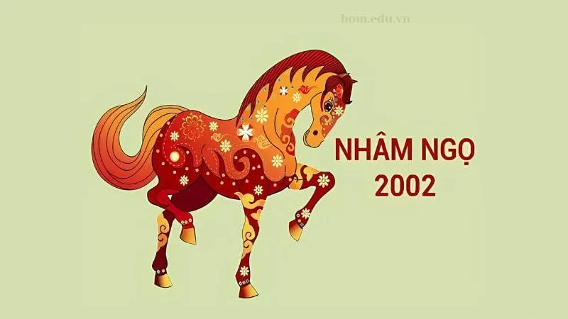 Tổng quan về năm 2002