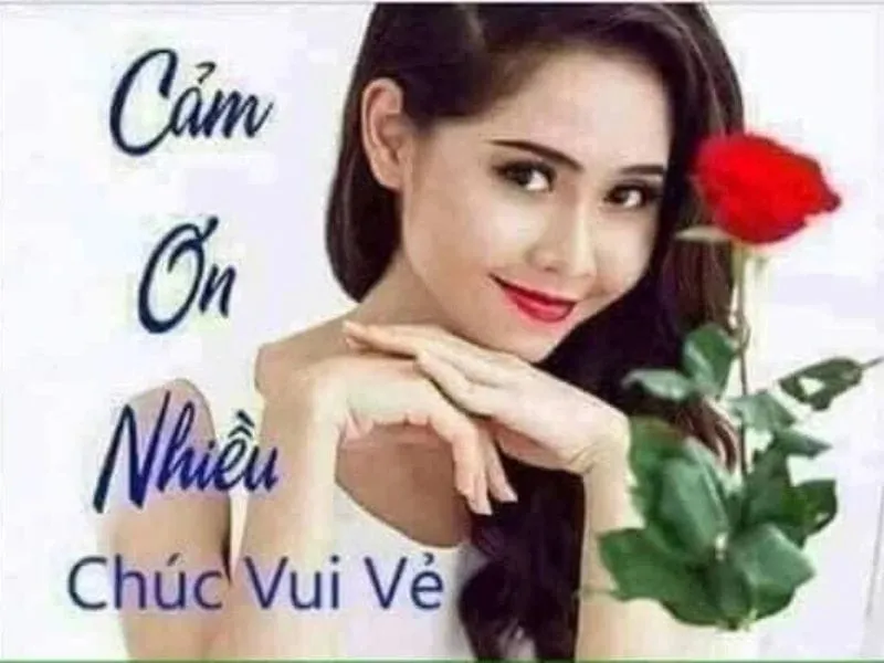 Meme cảm ơn dễ thương – một cách tuyệt vời để thể hiện lòng biết ơn.