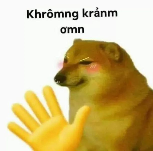 Meme cảm ơn hài hước, dễ thương khiến bạn phải cười 8