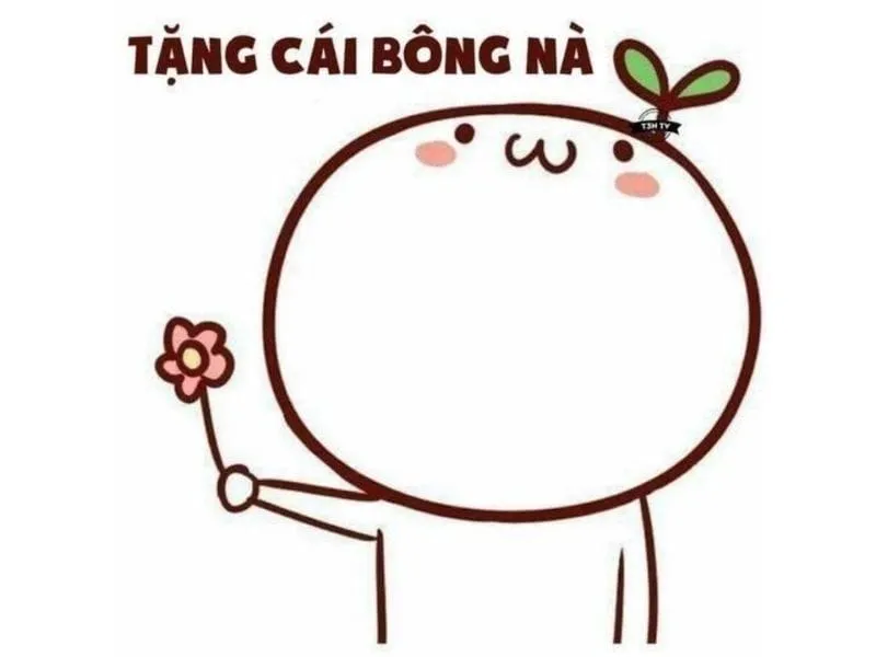 Chia sẻ meme cảm ơn cute để thể hiện sự biết ơn theo cách dễ thương.