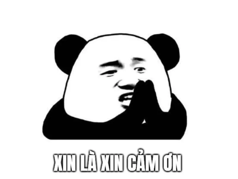 Meme cúi đầu cảm ơn – biểu cảm thật sự chân thành và đầy kính trọng.