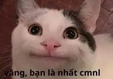 Meme cười khinh bỉ mang đến một góc nhìn đầy hài hước về cuộc sống.