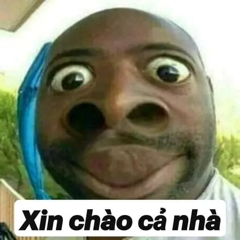 Meme hài bựa này sẽ khiến bạn không thể nhịn cười!