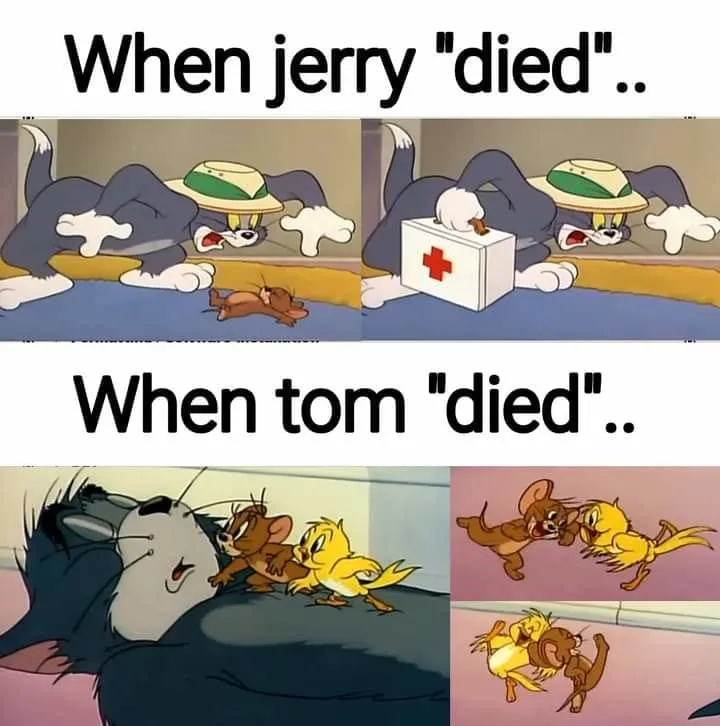 Tom and Jerry meme - Đặc sản dành cho các tín đồ meme sành điệu.