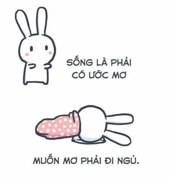 Cùng xem meme ngủ ngon cute để có một đêm ngủ thật ngon và ngọt ngào.