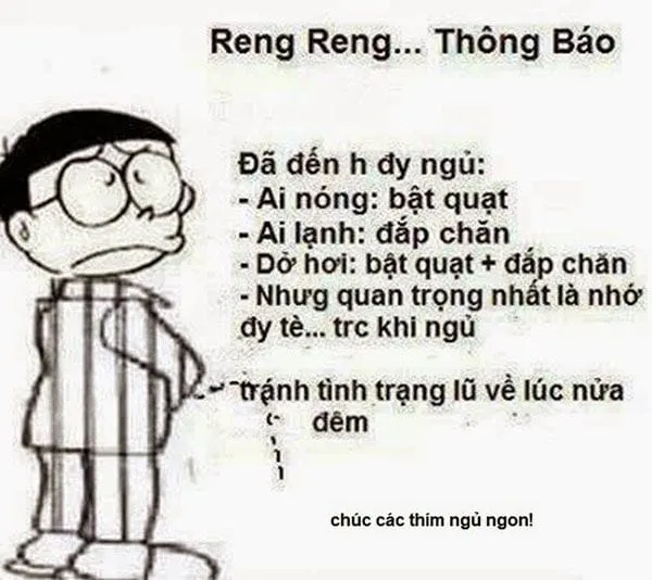 Meme mèo chúc ngủ ngon sẽ làm đêm của bạn trở nên thú vị hơn rất nhiều.