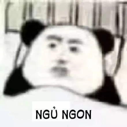 Meme ngủ ngon dễ thương mang đến nụ cười ngọt ngào trước khi đi ngủ.