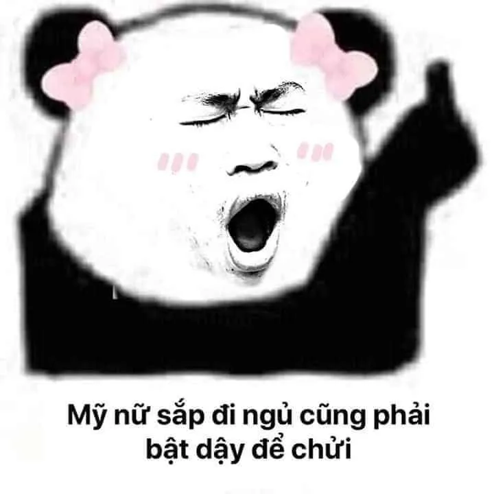 Một đêm dễ ngủ và thoải mái với meme ngủ ngon dễ thương.