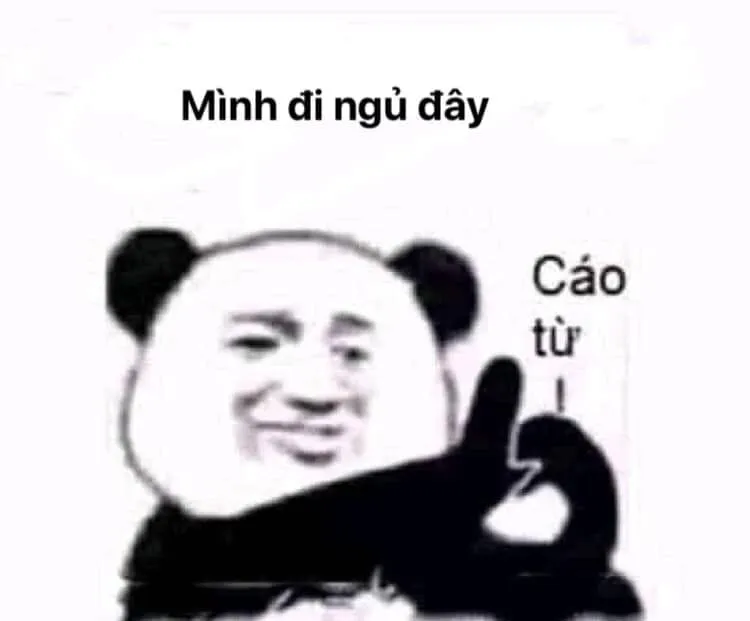 Meme ngủ ngon cute là lựa chọn tuyệt vời để chúc bạn bè ngủ ngon.