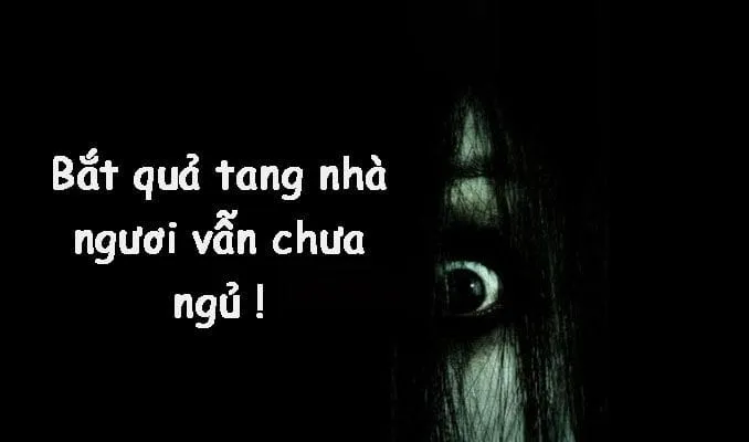 Hình ảnh meme ngủ ngon hài sẽ mang đến những phút giây thư giãn đầy thú vị.