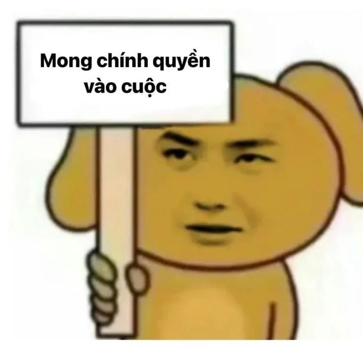 Meme xin lỗi hài hước, đảm bảo người nhận sẽ không thể nhịn cười.