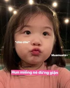 Meme xin lỗi đáng yêu, biểu cảm chân thành nhưng vẫn cực dễ thương.