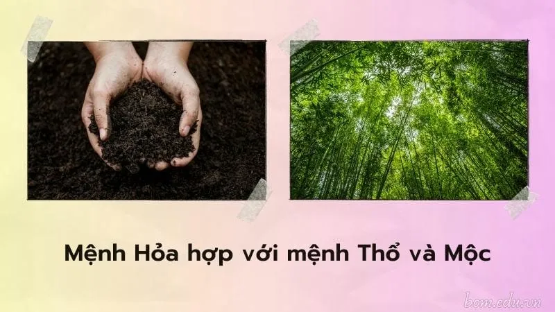 Tìm hiểu về mệnh Hỏa hợp với mệnh nào trong phong thủy 5