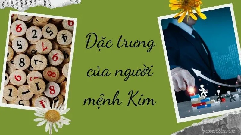 Người mệnh Kim hợp cây gì để mang lại may mắn và thịnh vượng? 2