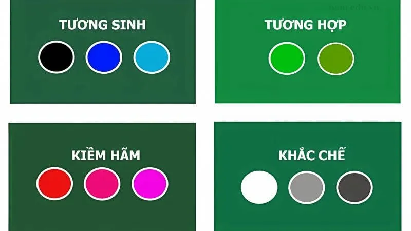 Màu sắc hợp và kỵ mệnh Mộc