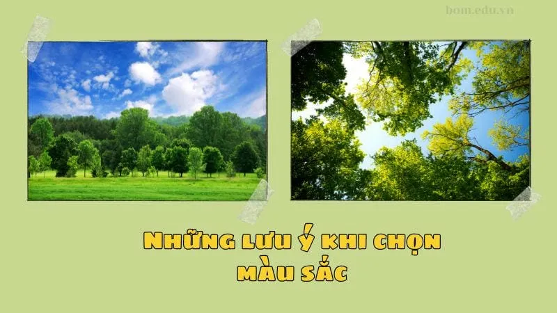 Những lưu ý khi chọn màu sắc