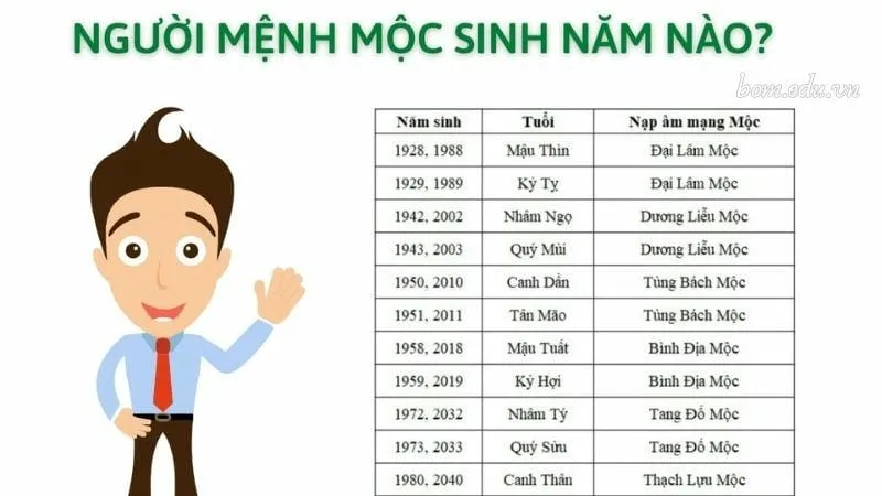 Người mệnh Mộc sinh năm nào?