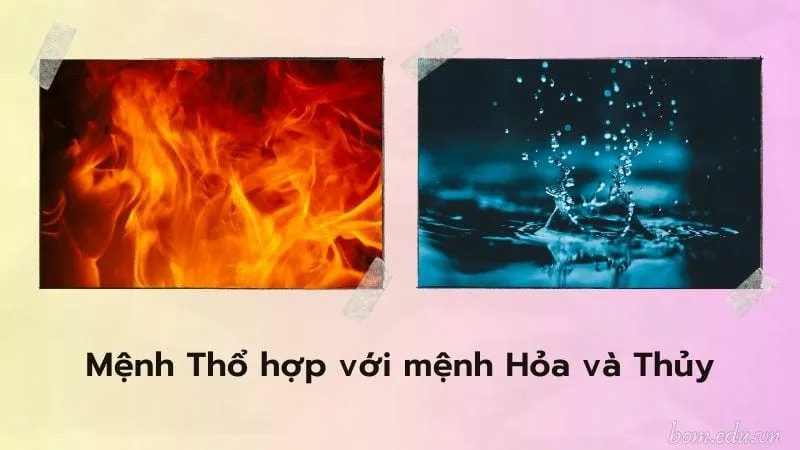 Mệnh Mộc hợp với mệnh Hỏa và Thủy