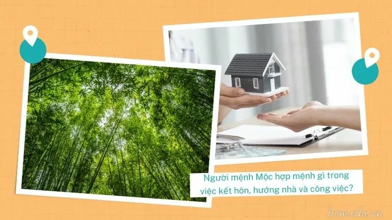 Người mệnh Mộc hợp mệnh gì trong việc kết hôn, hướng nhà và công việc?