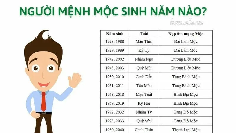 Người mệnh Mộc sinh năm nào?