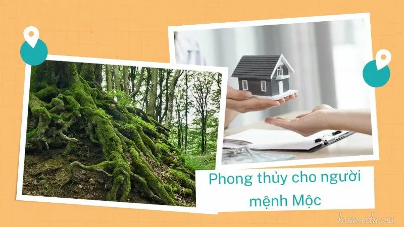 Phong thủy cho người mệnh Mộc