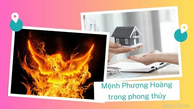 Mệnh Phượng Hoàng là gì? Biểu tượng và ý nghĩa phong thủy 4