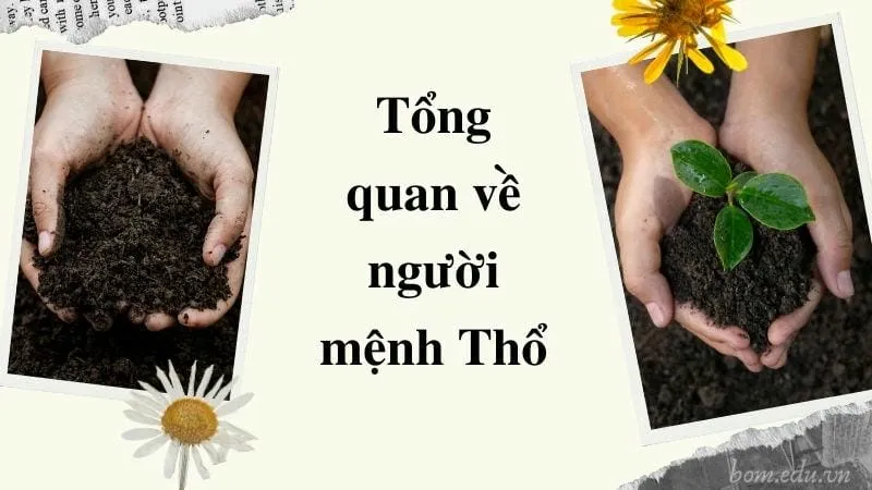 Tổng quan về người mệnh Thổ