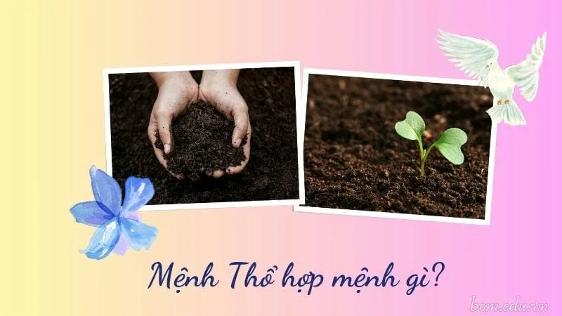 Mệnh Thổ hợp mệnh gì?