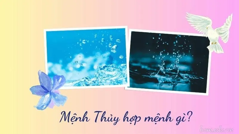 Tìm hiểu về mệnh Thủy hợp với mệnh nào trong phong thủy 5