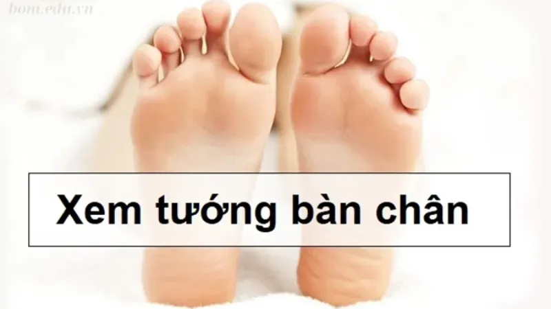 Xem tướng bàn chân