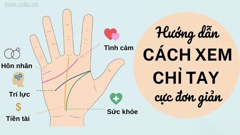 Ý nghĩa của đường chỉ tay trong nhân tướng học