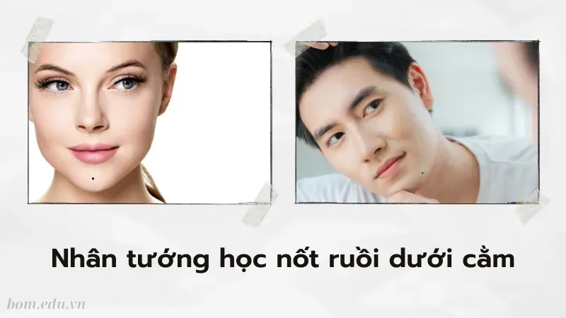 Ý nghĩa và vận mệnh nhân tướng học nốt ruồi dưới cằm 1