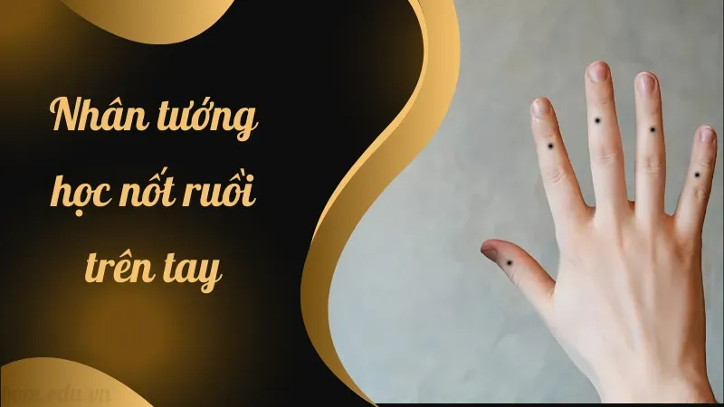 Nốt ruồi trên tay phản ánh điều gì trong nhân tướng học?