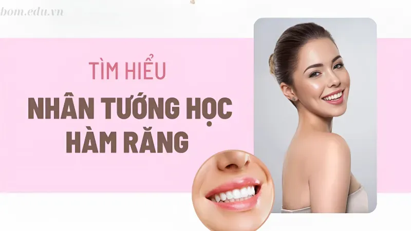 Giới thiệu về nhân tướng học răng