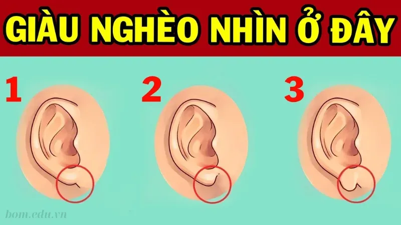 Tìm hiểu sơ lược về nhân tướng học tai