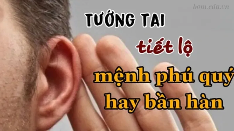 Tướng tai tiết lộ điều gì