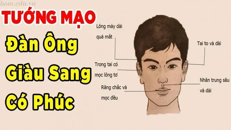 Áp dụng nhân tướng học tai trong đời sống