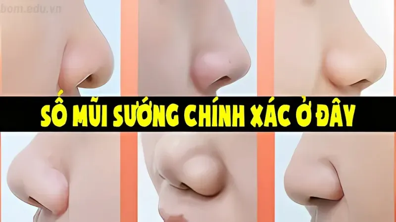 Dáng mũi của tướng người có số phú quý