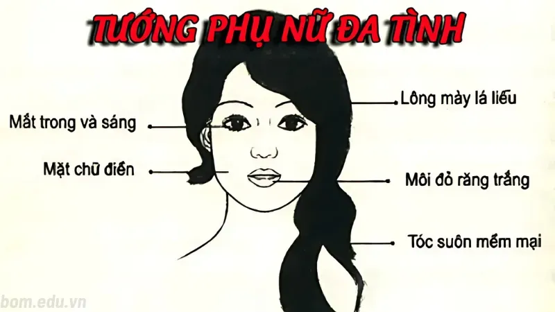 Tướng mạo của người phụ nữ đa tình