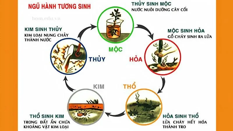 Giải thích chi tiết từng mối quan hệ tương sinh