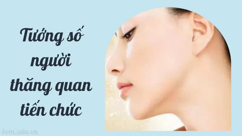 Tướng số người thăng quan tiến chức là gì?