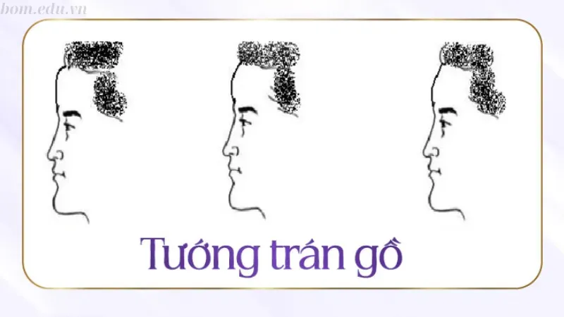 Trán gồ trong nhân tướng học