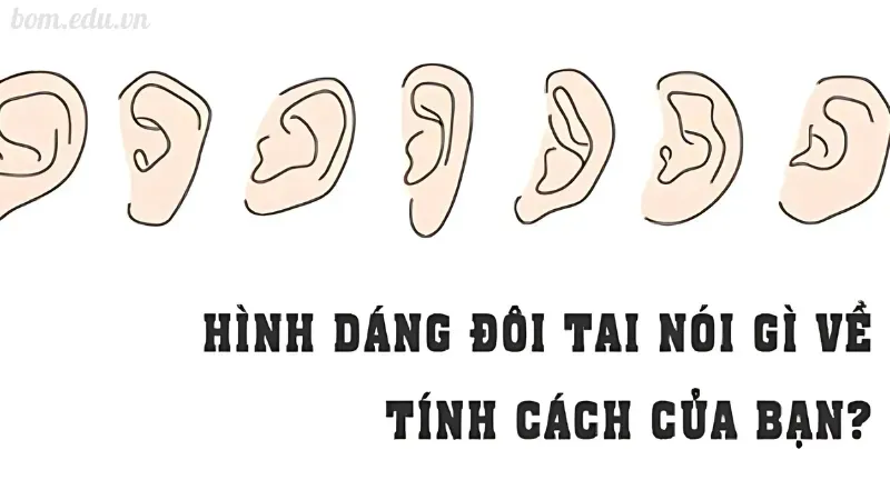 Xem tướng đàn ông qua đôi tai