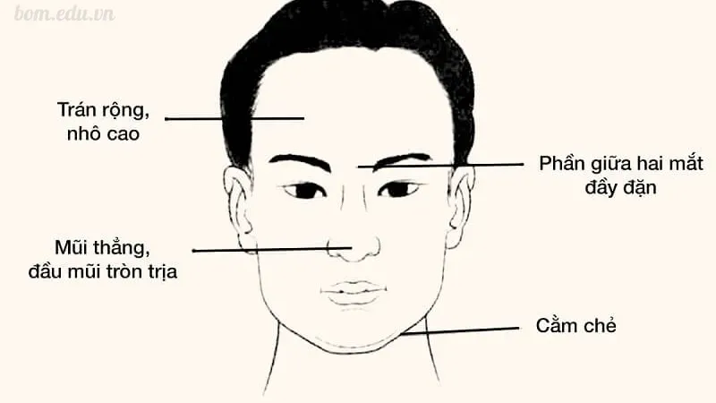 Xem tướng mặt