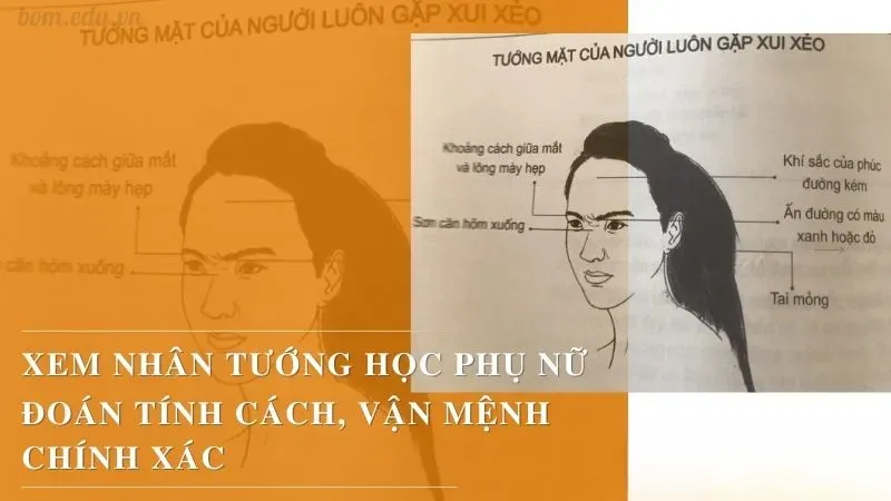 Cách xem tướng mặt để đoán tính cách, vận mệnh