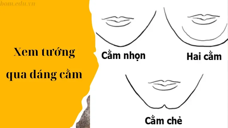 Tướng cằm trong nhân tướng học có quan trọng không?