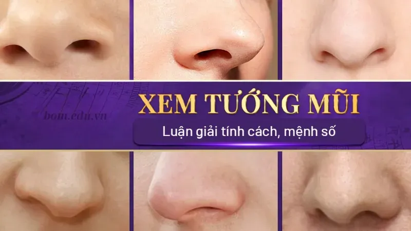 Giới thiệu về xem tướng qua dáng mũi