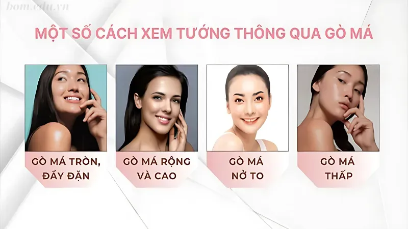 Các đặc điểm của gò má trong nhân tướng học